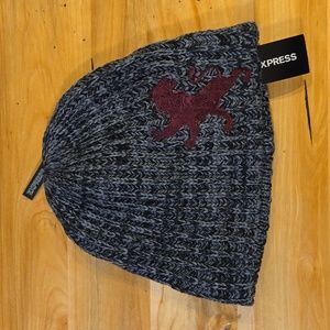 Express knit beanie